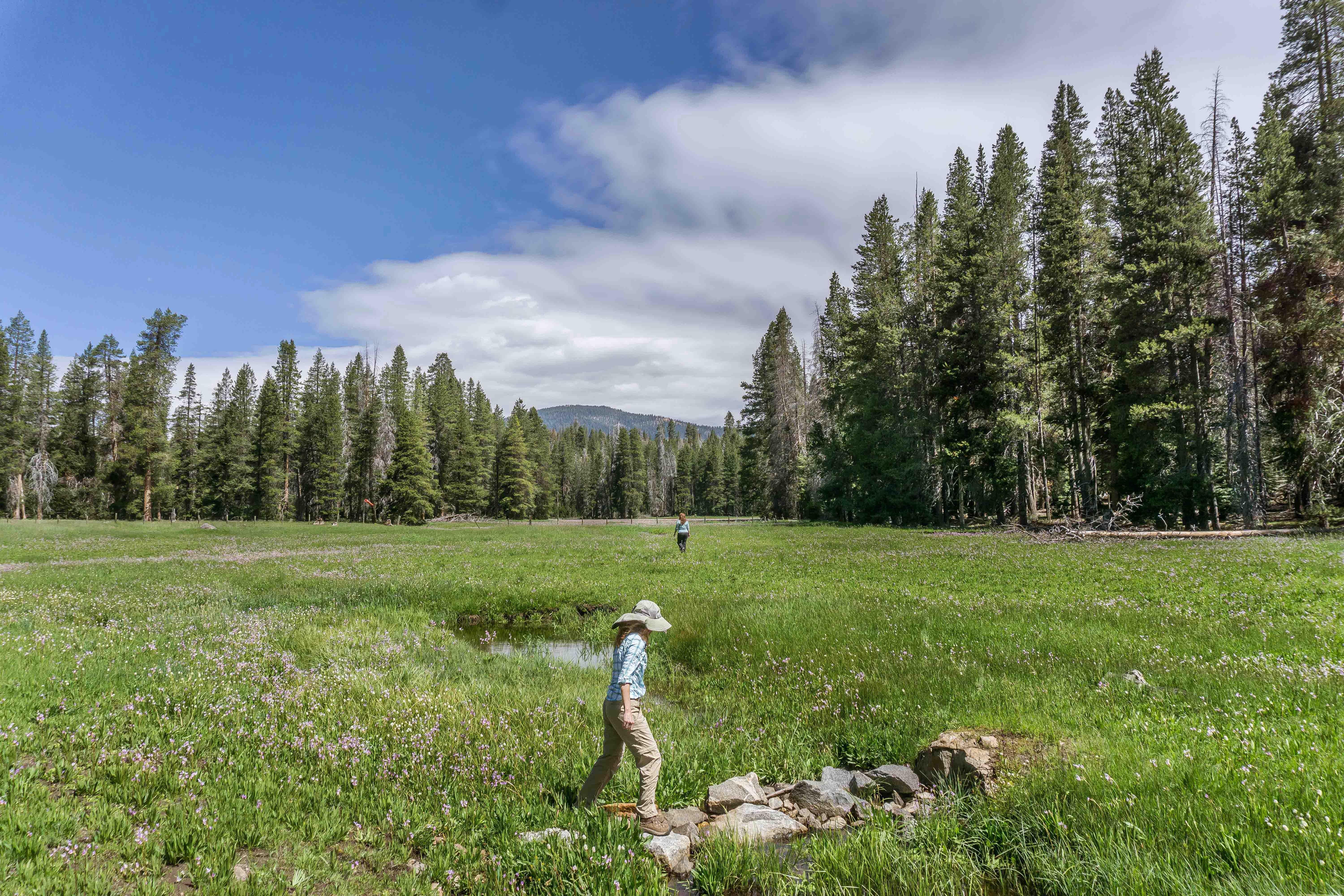 Holiday Inn Express & Suites Oakhurst-Yosemite Park Area By Ihg Exterior foto
